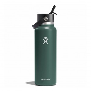 Hydro Flask 40 oz Wide Mouth with Flex Straw Cap Fir | 63418JDIL