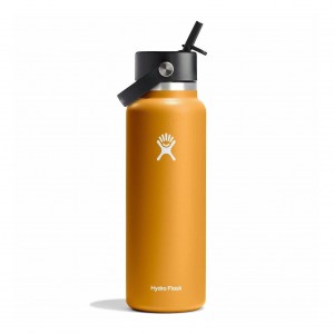 Hydro Flask 40 oz Wide Mouth with Flex Straw Cap Fossil | 73498HITZ