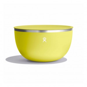 Hydro Flask 5 qt Serving Bowl with Lid Cactus | 04192IATU