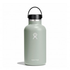 Hydro Flask 64 oz Wide Mouth Agave | 67458JZSA