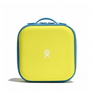 Hydro Flask Kids Insulated Lunch Box Cactus | 67438WQCZ