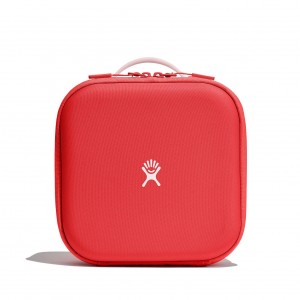 Hydro Flask Kids Insulated Lunch Box Goji | 72165LVTW