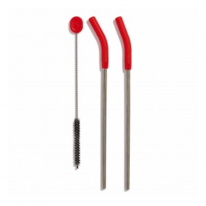 Hydro Flask Stainless Steel Straw Set Goji | 80532ZSCM